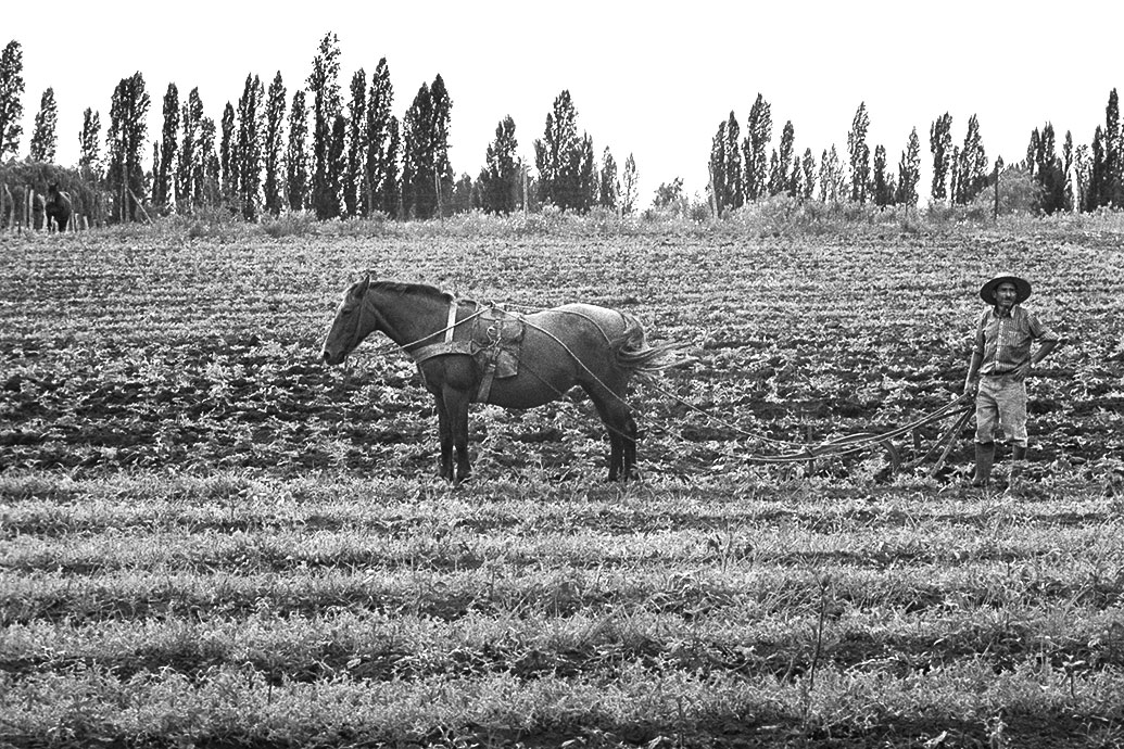 Au bord de la route ©louis-audry.com