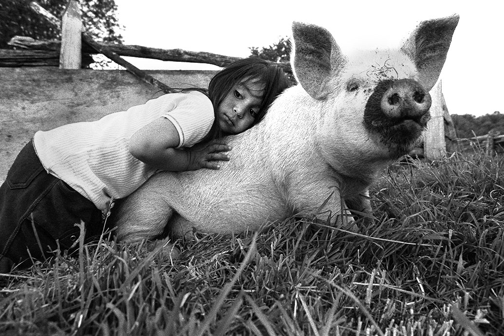 Au bord de la route ©louis-audry.com