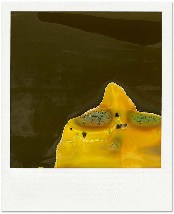 Polaroid péremption ©louis-audry.com