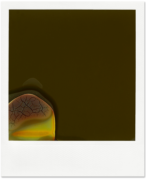 Polaroid péremption ©louis-audry.com
