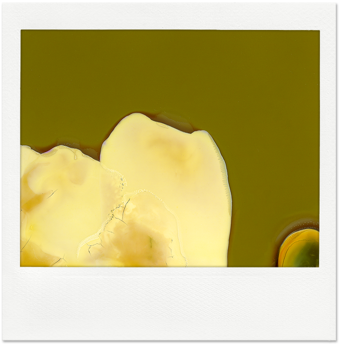 Polaroid péremption ©louis-audry.com