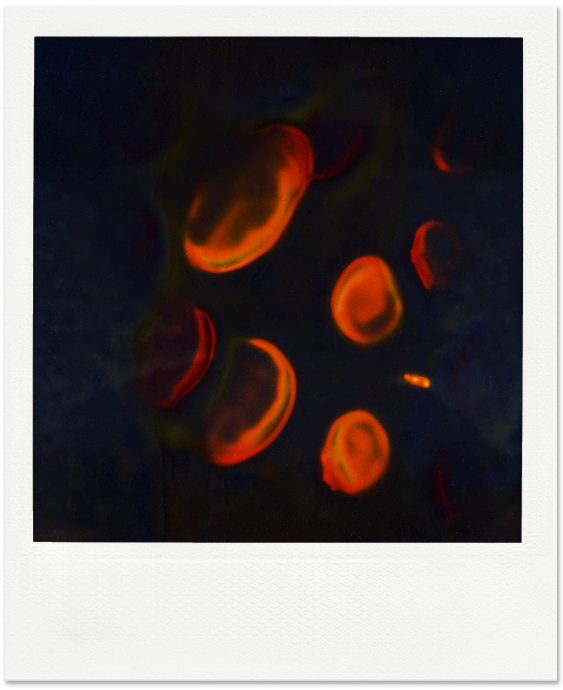 Polaroid péremption ©louis-audry.com