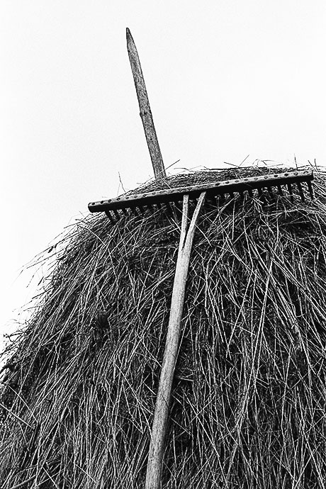 Carpattes à pattes ©louis-audry.com
