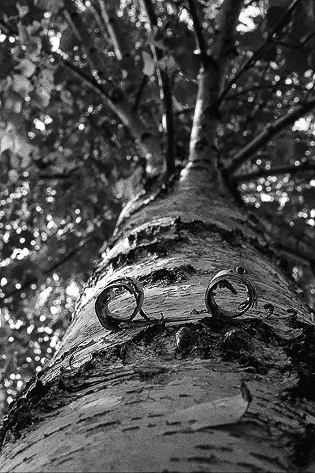 Carpattes à pattes ©louis-audry.com